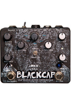 Old Blood Noise Endeavors Blackcap Dual Tremolo