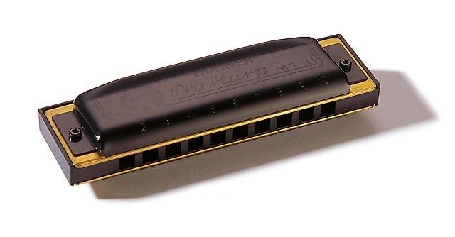 Hohner Pro Harp 20-Voice Harmonica E