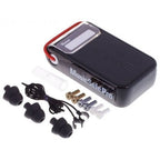 Alpine Earplug Music Safe Pro Mkii Black Edition