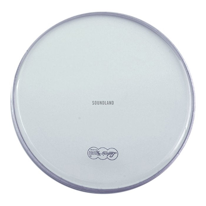 Ludwig Pelle Resonant Snare 14