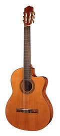 Salvador Cortez Cc10Ce Chitarra Classica Elettrificata