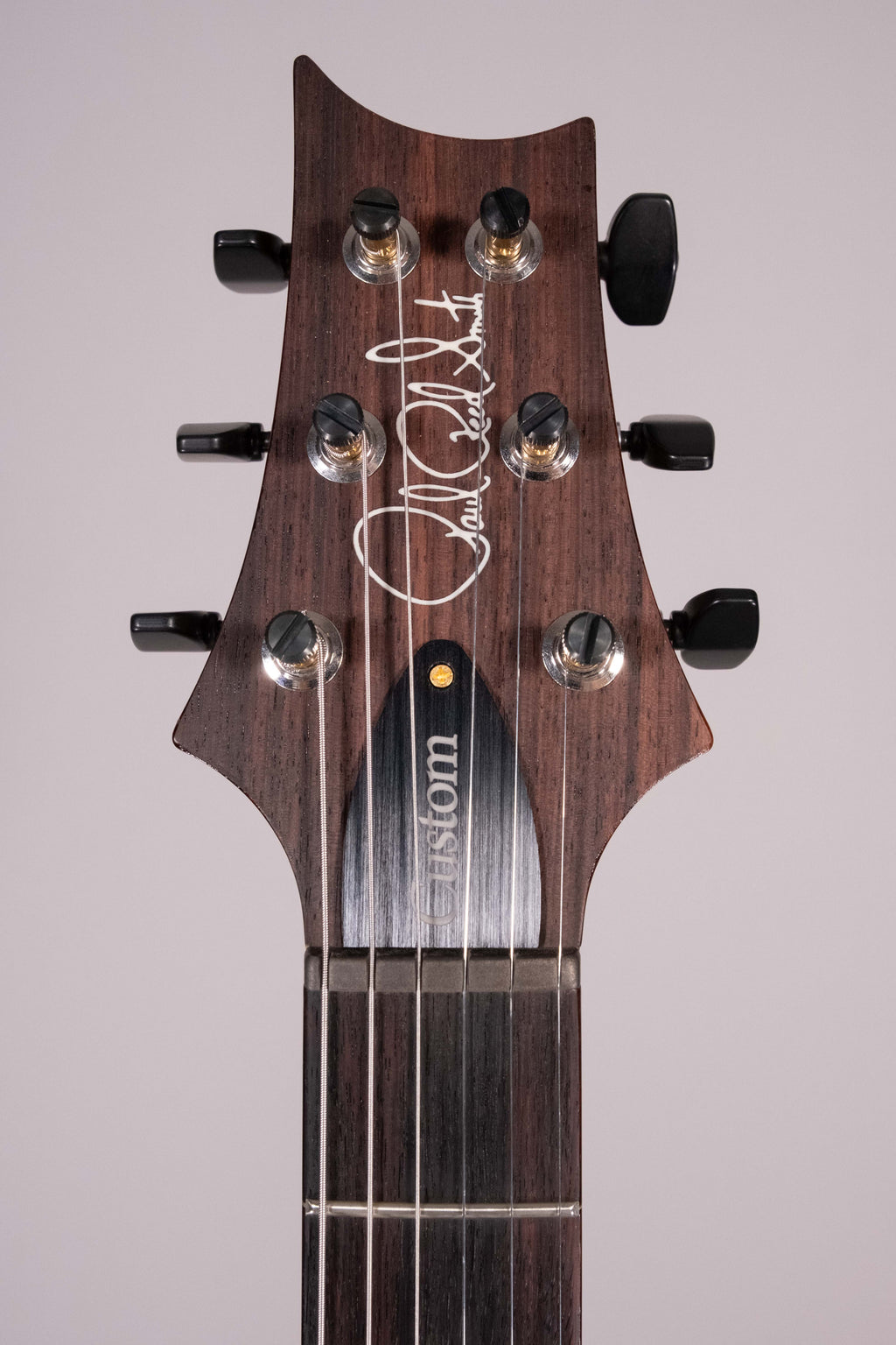 Prs Custom 24 Arctic Blue 10-Top