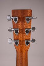 Martin & Co. GPC-X2E Cocobolo Remastered