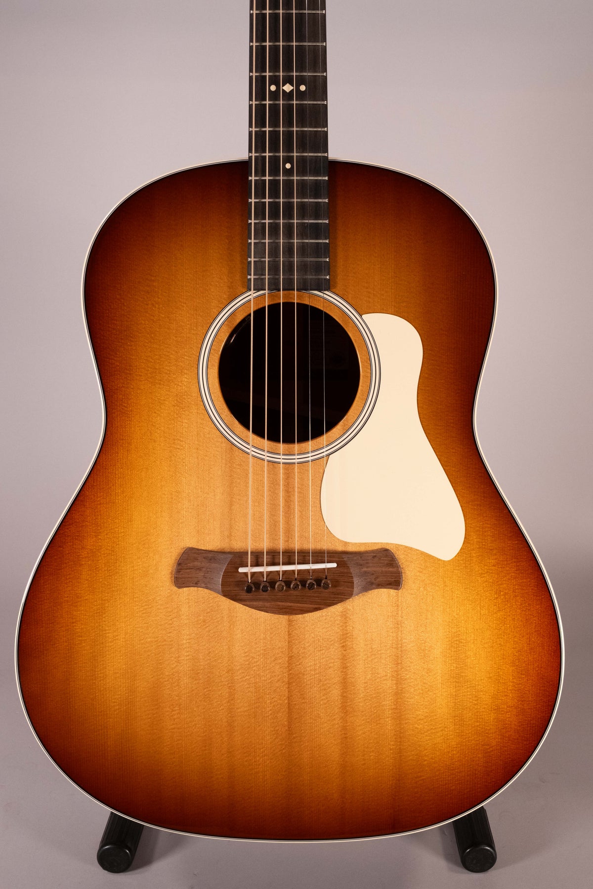 Taylor 517E SB Sunburst Gold Label Cream Pickguard