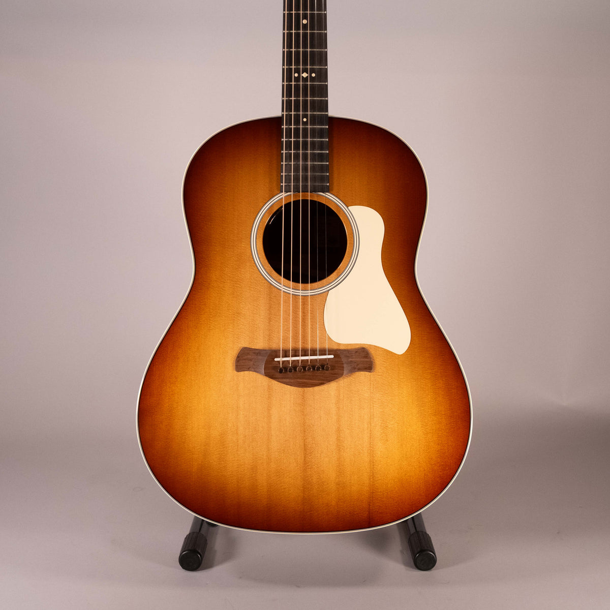 Taylor 517E SB Sunburst Gold Label Cream Pickguard