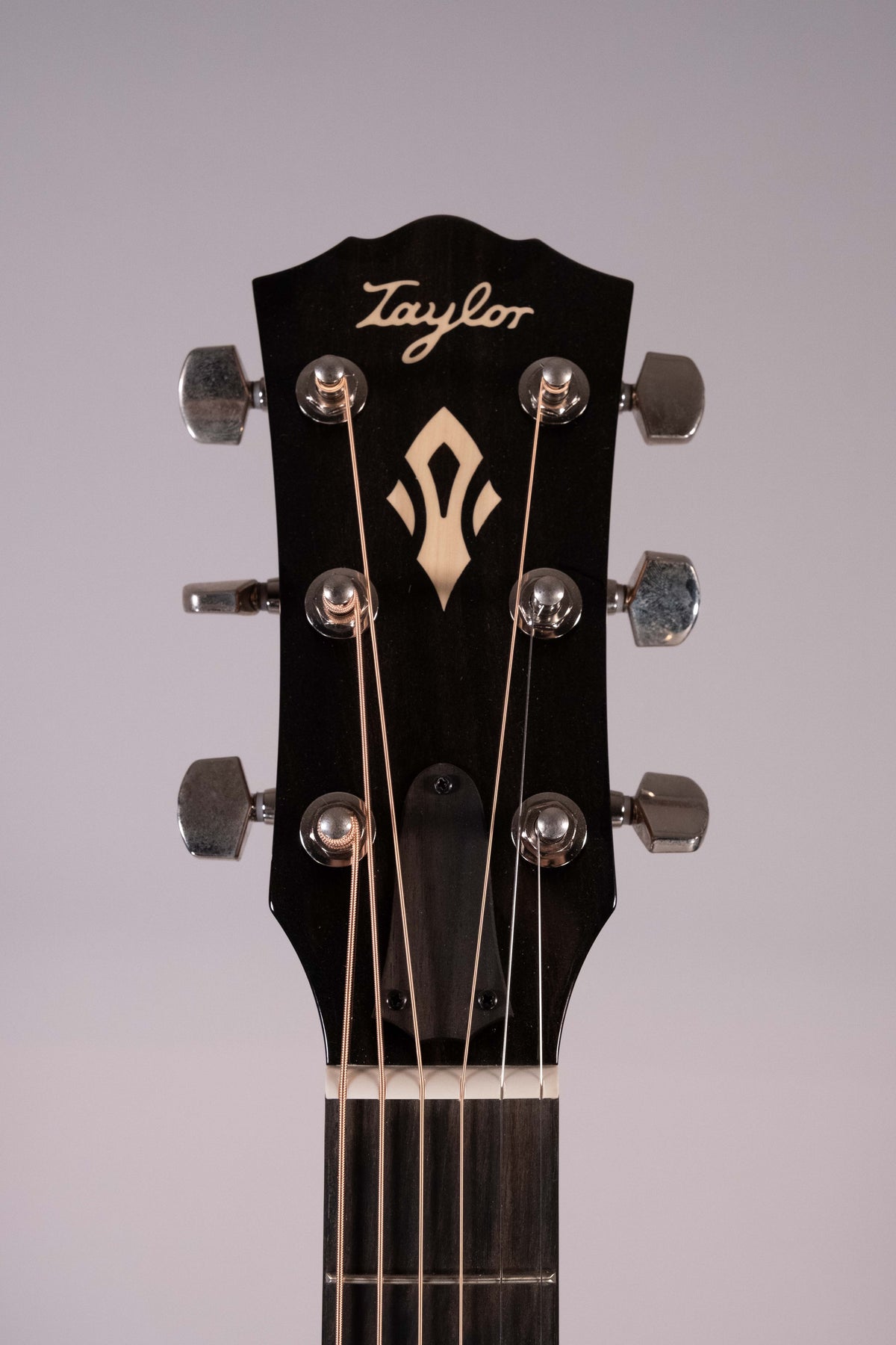 Taylor 517E SB Sunburst Gold Label Cream Pickguard