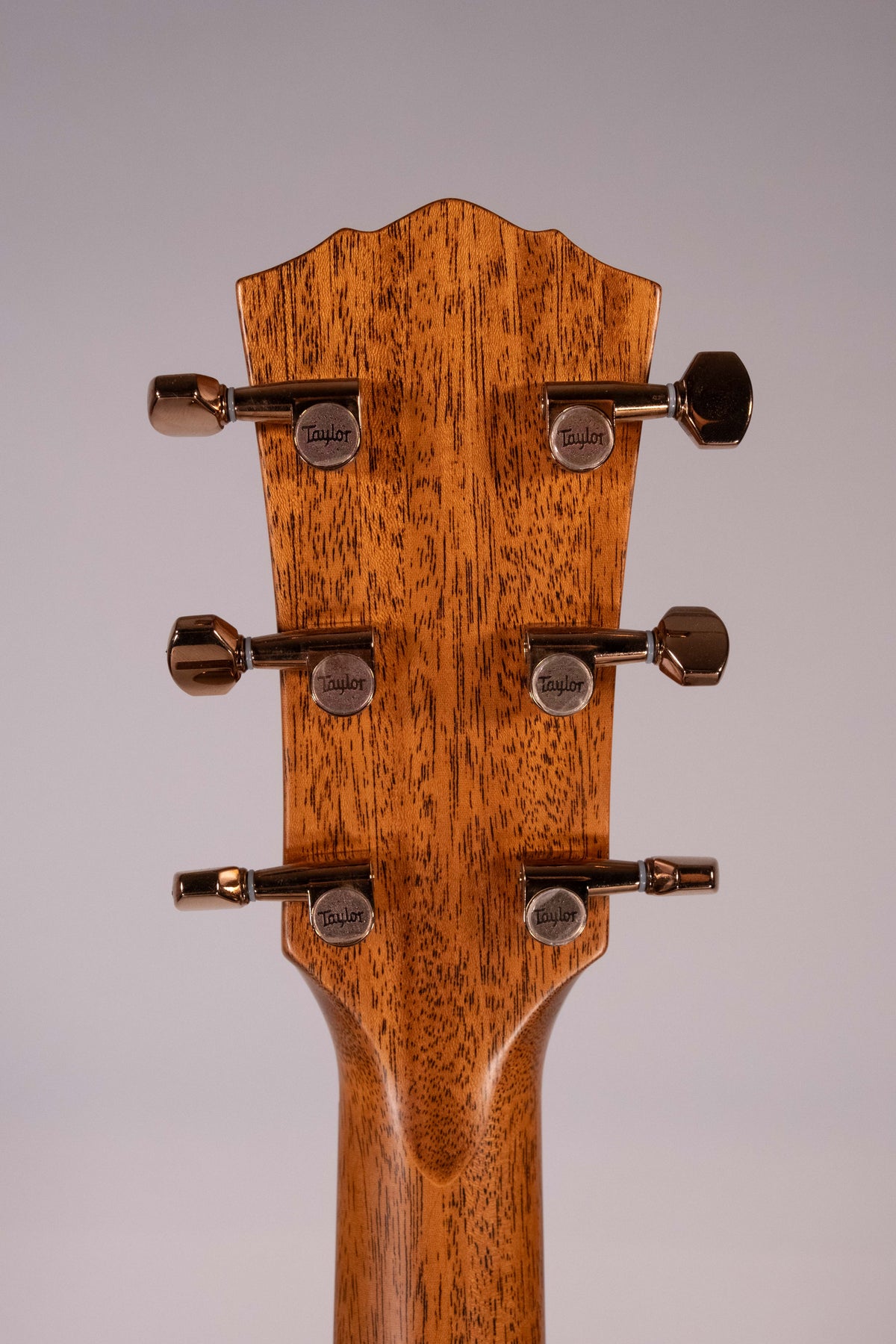 Taylor Ben Harper Signature Gold Label 512E