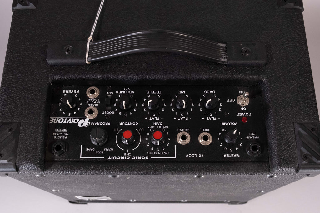 POLYTONE MINIBRUTE 12 USATO