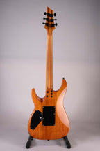 Schecter C-1 EXOTIC EBONY-NS