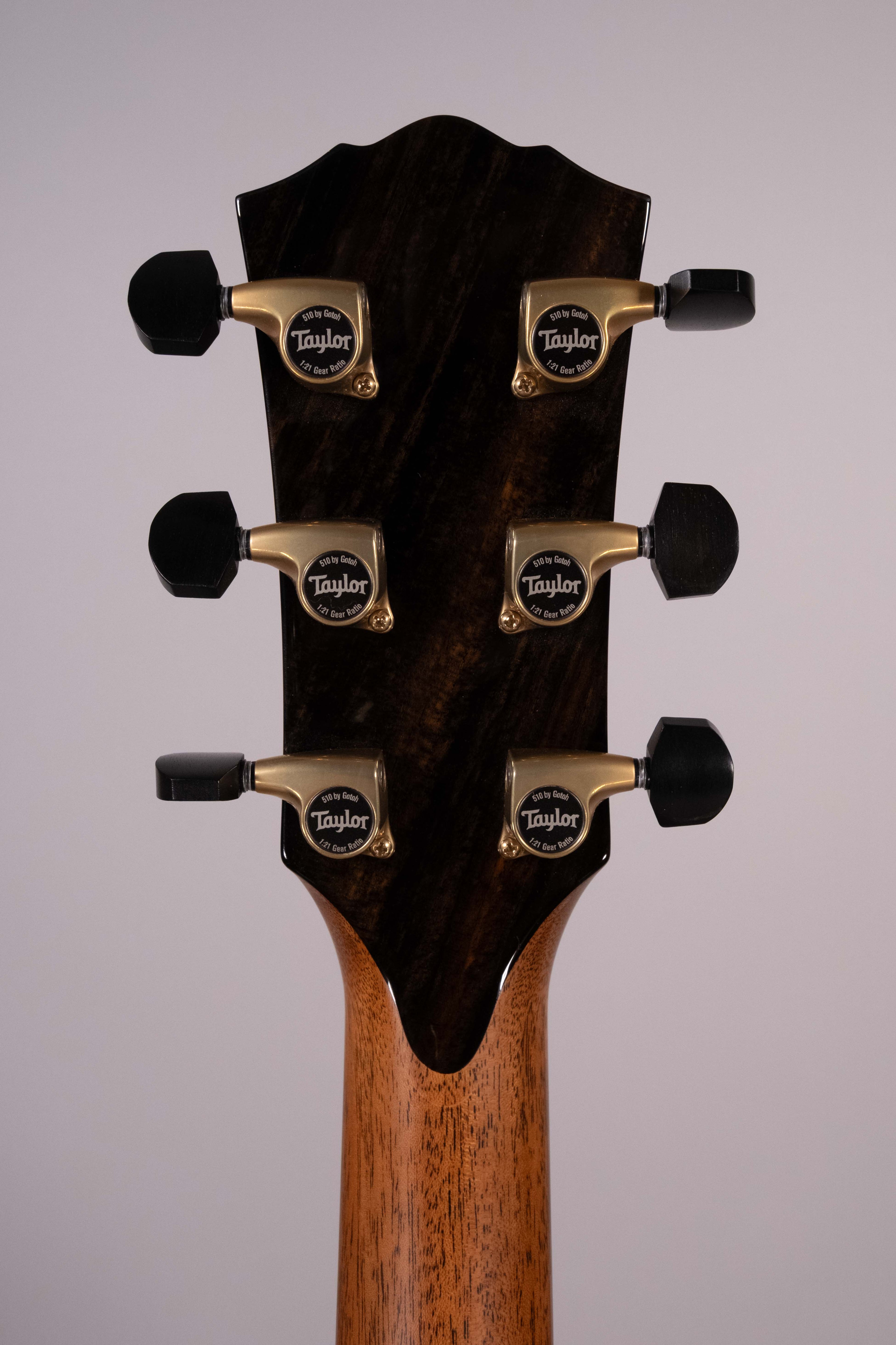 Taylor Gold Label 914E Honduran Rosewood Natural