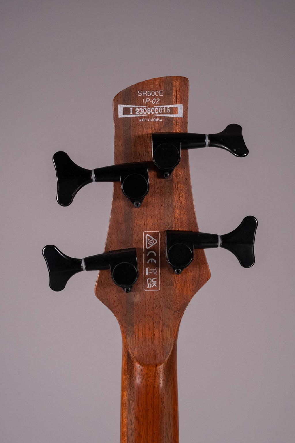 IBANEZ  SR600 USATO