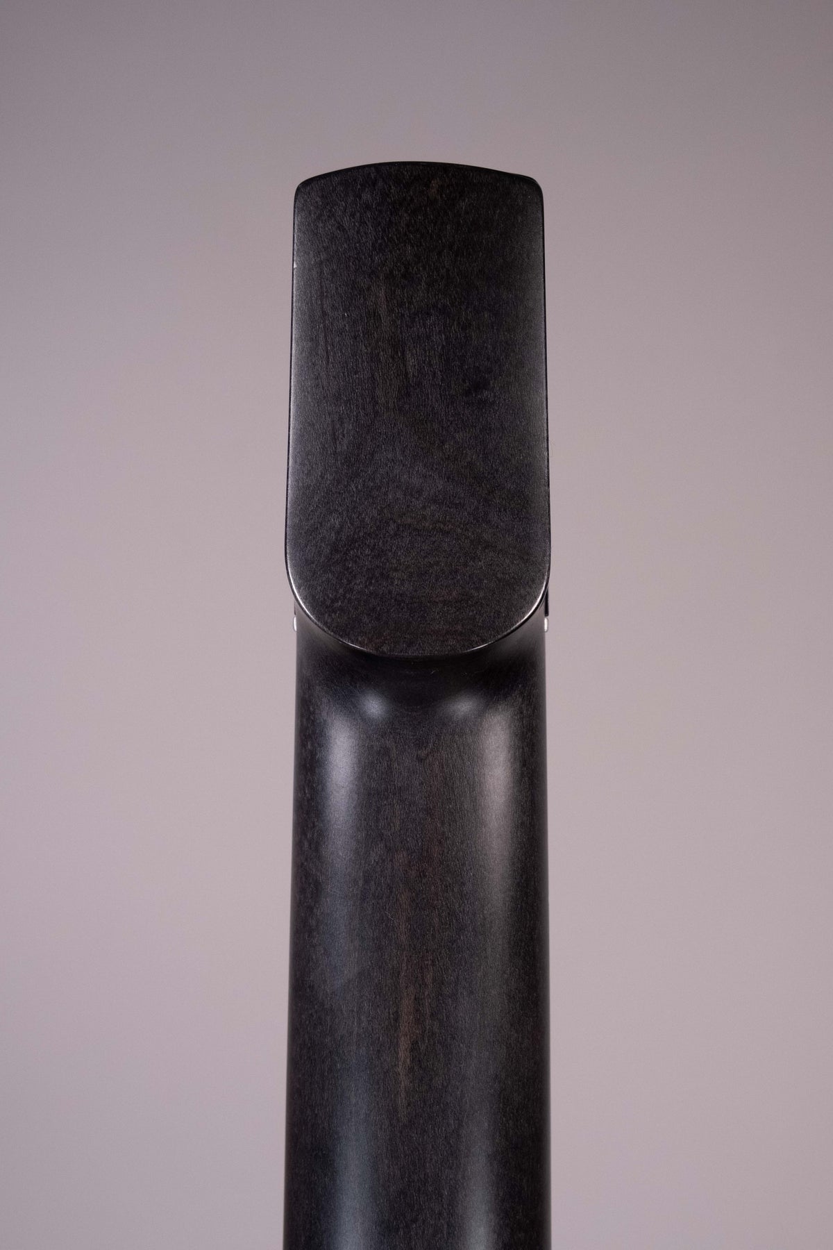 NS RADIUS 5 FRETLESS USATO