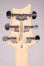 PRS SE Swamp Ash Special Iri Blue
