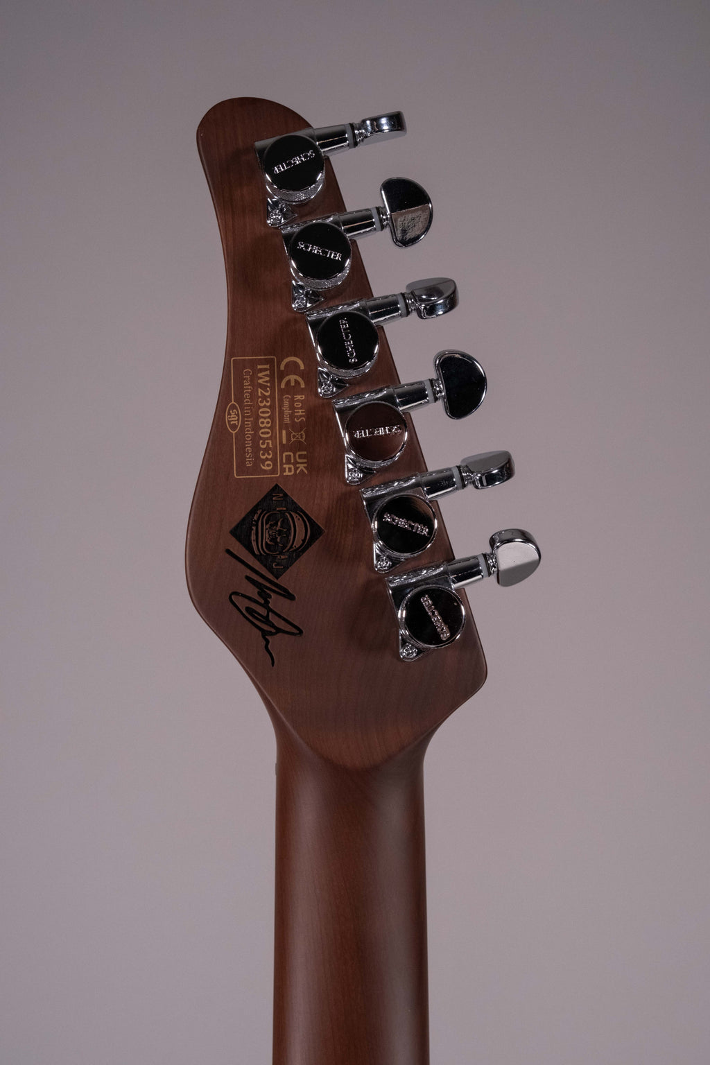 SCHECTER NICK JOHNSTON HSS USATA