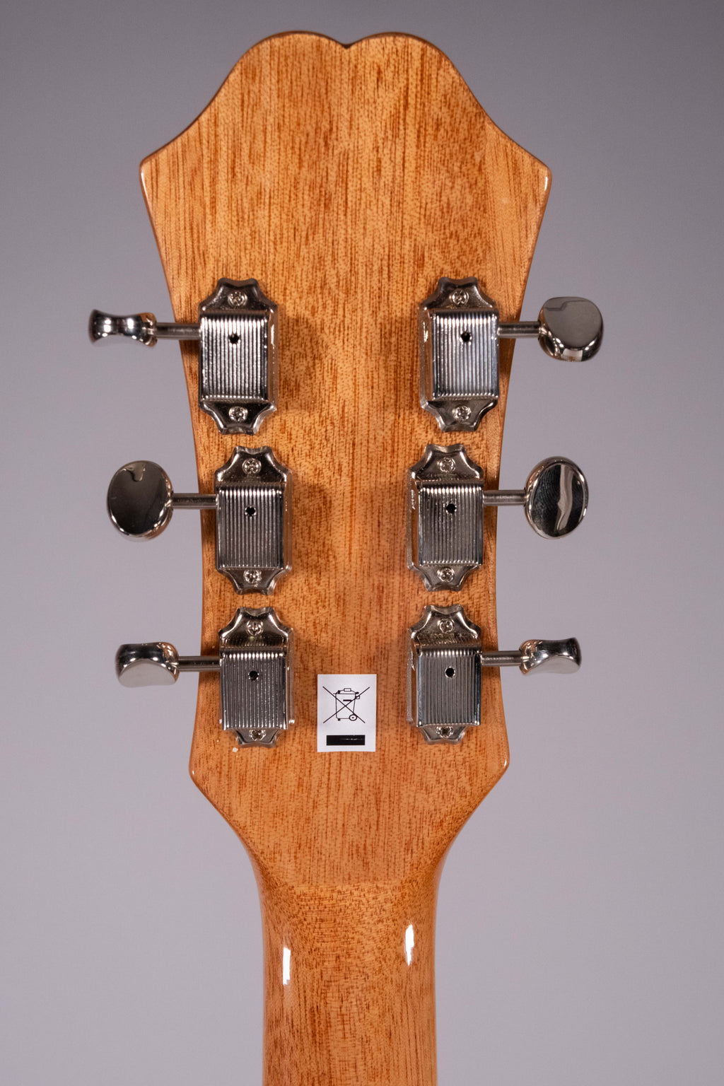 Epiphone Casino Natural