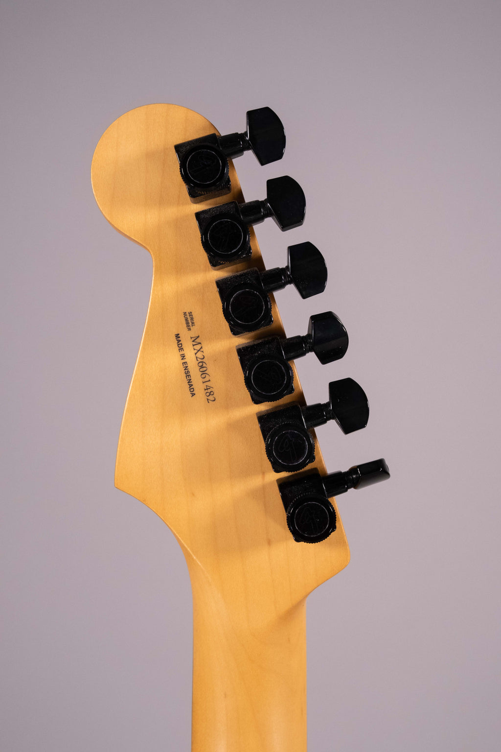 Fender Limited Edition Player Fusion Stratocaster HSS Black