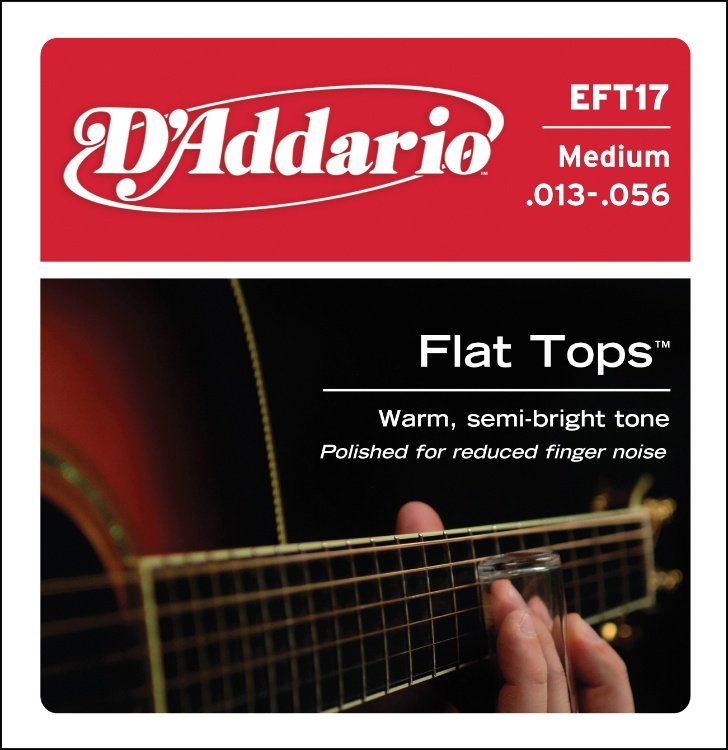 D'Addario EFT17 Medium .013-.056