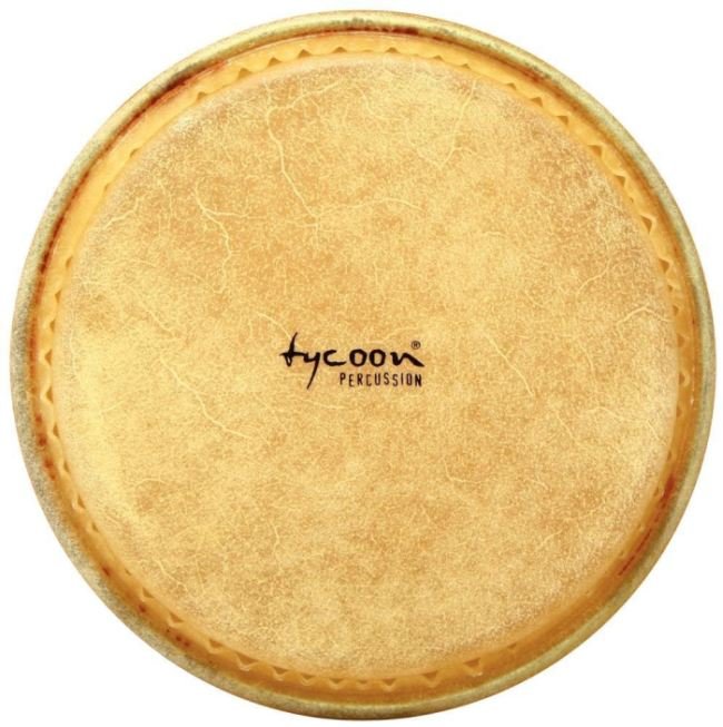 Gewa Bongo Head 7