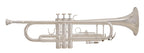 GRASSI GR TR210AG