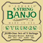 D'Addario J69B Muta Banjo