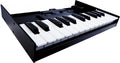 Roland K25M Tastiera Dinamica A 25 Tasti