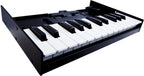 Roland K25M Tastiera Dinamica A 25 Tasti