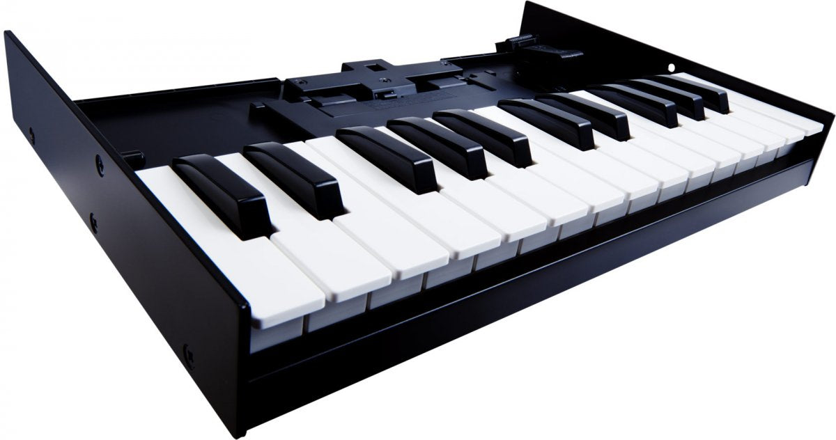 Roland K25M Tastiera Dinamica A 25 Tasti