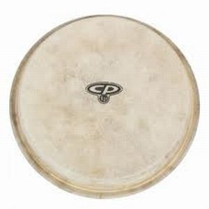 Lp Cp663B Head for Bongo 8 Cp601