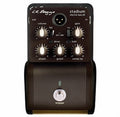 Lr Baggs Stadium Di per Basso Elettrico