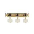 MECCANICA CHITARRA GOTOH 35G620 GG EW