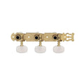 MECCANICA CHITARRA GOTOH 35G450 FG