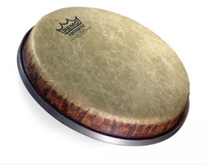 Remo Heads World 9 Bongo