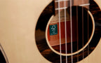 Alhambra Green Sustain GS Classical con Soft Bag da 25 mm