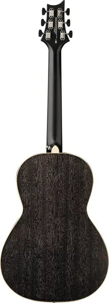 PRS SE P20E Parlor Black Dog Hair Fishman Pickup