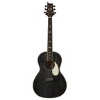 PRS SE P20E Parlor Black Dog Hair Fishman Pickup