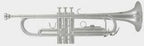 Roy Benson Tr402Cs Tromba In Do Silver