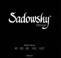 Sadowsky Black Label Bright Nickel 5C 40-125T