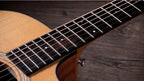 Taylor 114Ce Sapele Spruce