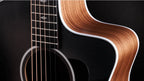 Taylor Sunset Boulevard 214CE Eclipse Burst Walnut Stika
