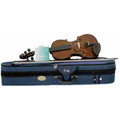 Rialto Violin 1/8 Study Model