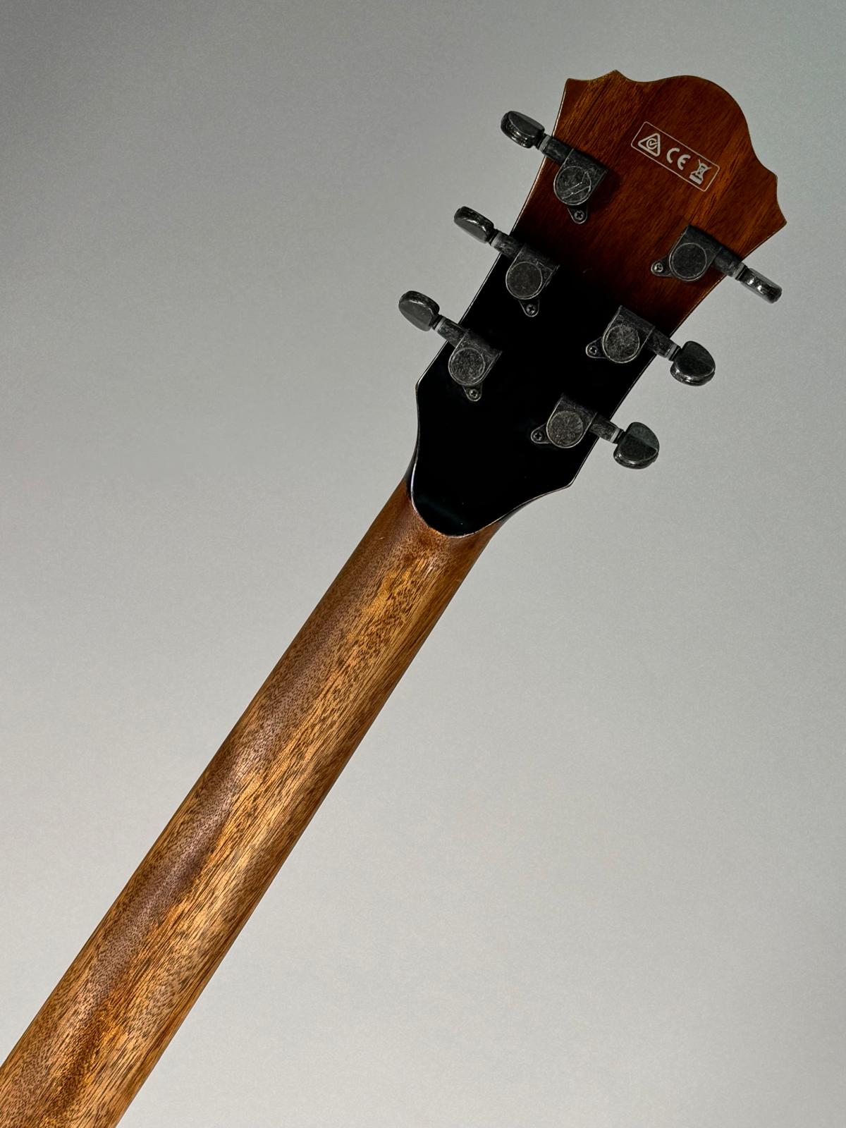 IBANEZ ASV10A USATA