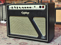 EPIPHONE BLUES CUSTOM 30 USATO
