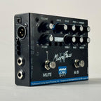 EBS MICROBASS II USATO