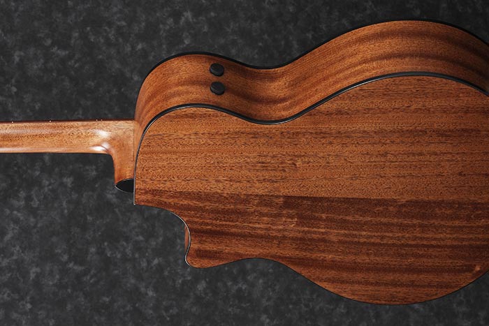 Ibanez Chitarra Acustica Elettrificata Natural Low Gloss ae295l