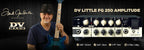 Dv Mark Fg Little 250 Amplitude Testata Per Chitarra