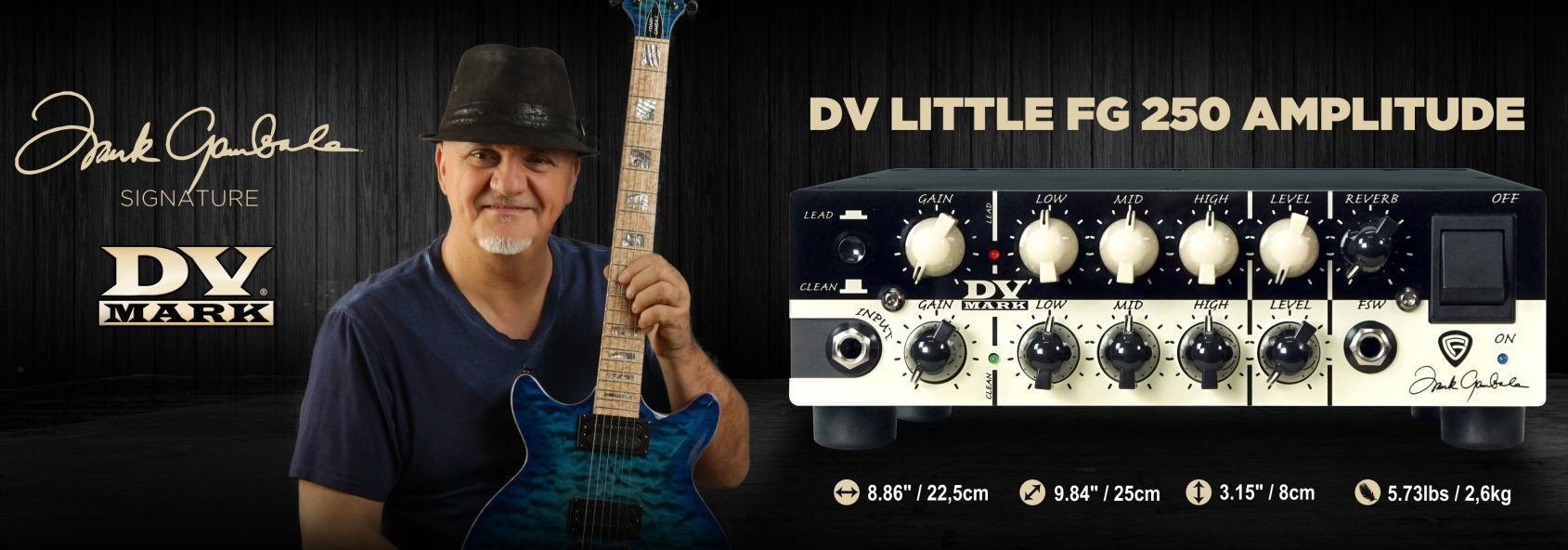 Dv Mark Fg Little 250 Amplitude Testata Per Chitarra