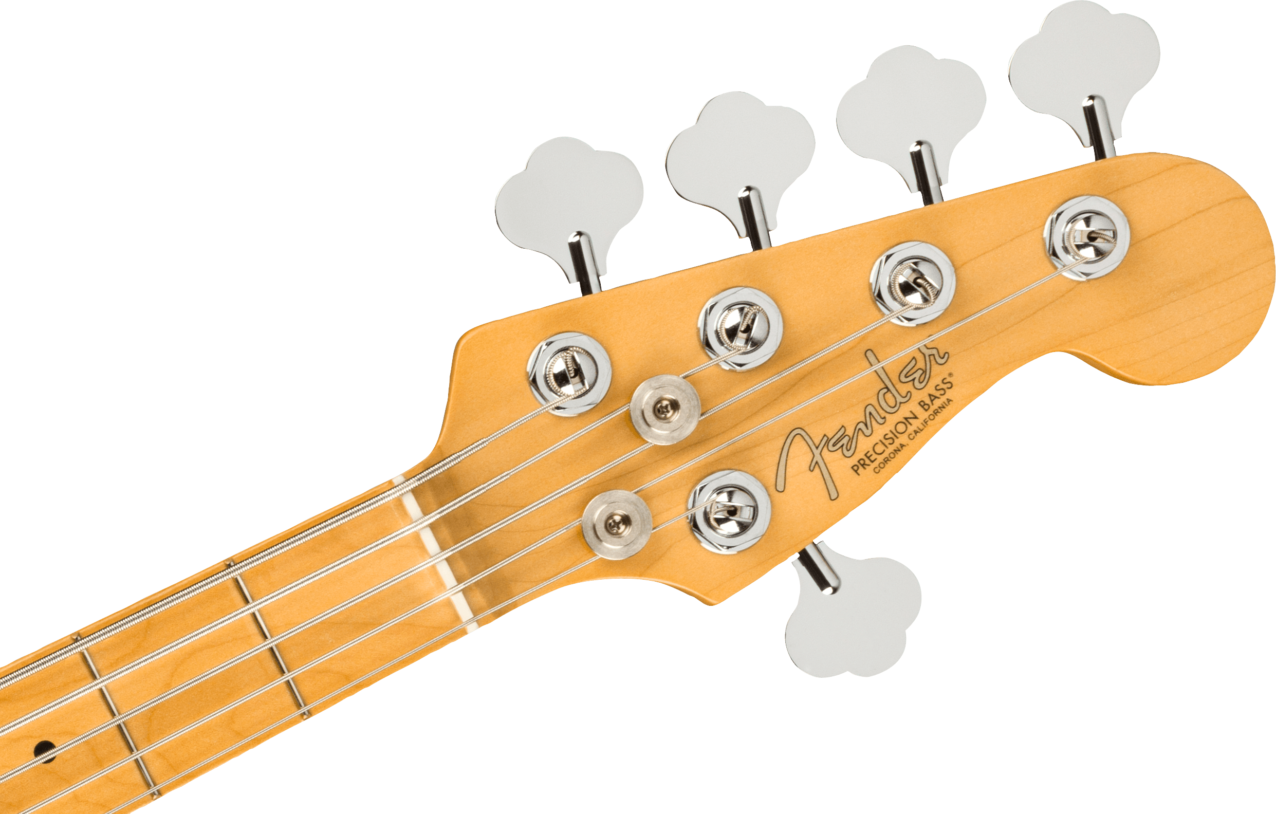 Fender American Professional II Precision V Dark Night