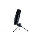 Jts JS1P Microfono Condensatore con Uscita USB per Registrazione Digitale