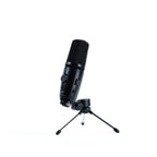 Jts JS1P Microfono Condensatore con Uscita USB per Registrazione Digitale