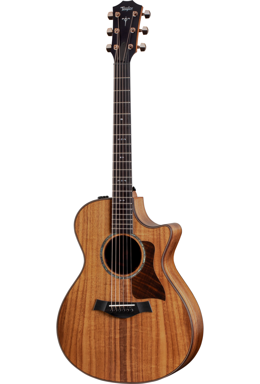 Taylor 722CE Chitarra Acustica Elettrificata